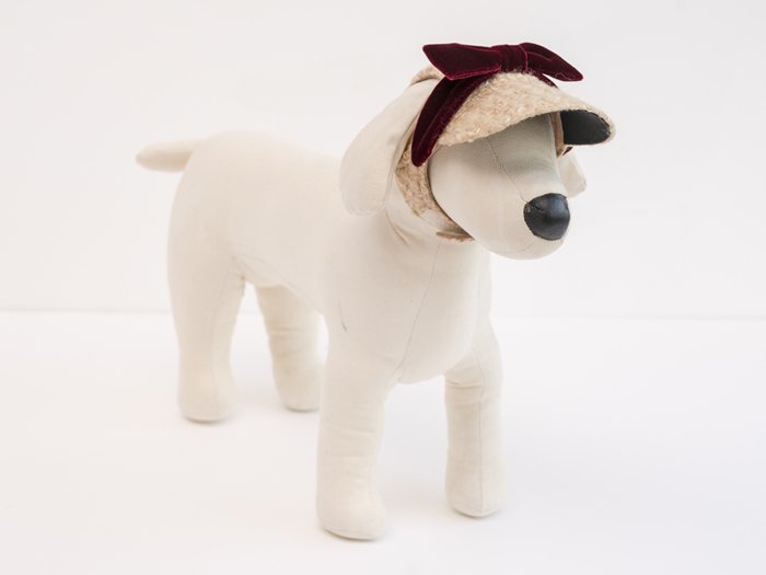 ご予約受付中 Snow White Cap 犬の帽子のお店 I M Gallery Online Shop