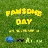 APAWSOME DAY碌ͽե2025ǯ1115()