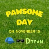 DPAWSOME DAY碌ͽե2025ǯ1115()