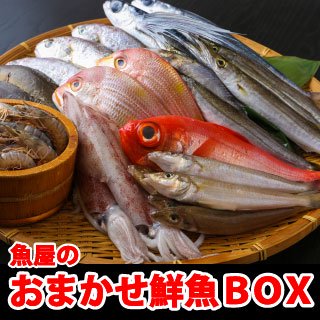 鮮魚ボックス