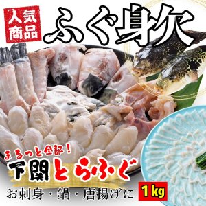 ＜国産限定活とらふぐ(フグ/河豚)身欠き/みがき（生食可能）約１ｋｇ　1kgあたり2-3尾入＞【冷凍限定/同梱可】 ギフト　 - 寿商店Online  shop