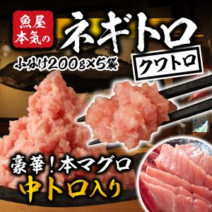 年末ご予約OK!＜本マグロ中トロ入り 魚屋本気のネギトロ（クワトロ