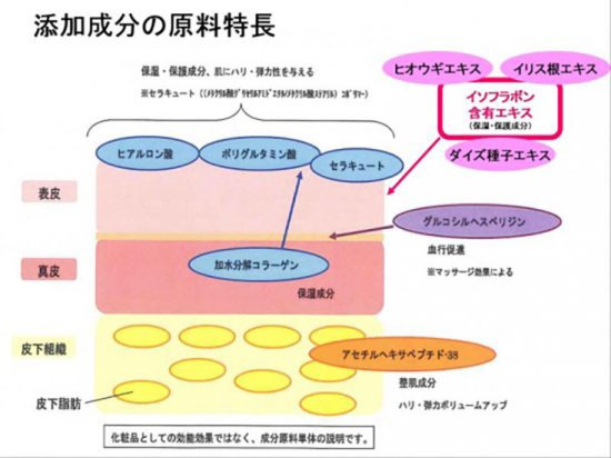 helcos ihsセレクト ハリーボーン,ハリーボーンBeauty,ヒルコス福岡博多