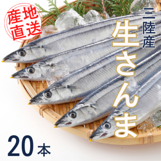 ̵дޤڡ 20٤ξʲ