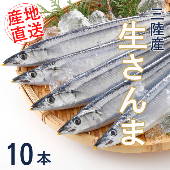 送料無料 石巻うまい一筋 生さんま １０本入 ヤマサコウショウ オンラインショップ