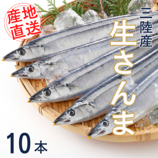 ̵дޤڡ 10٤ξʲ