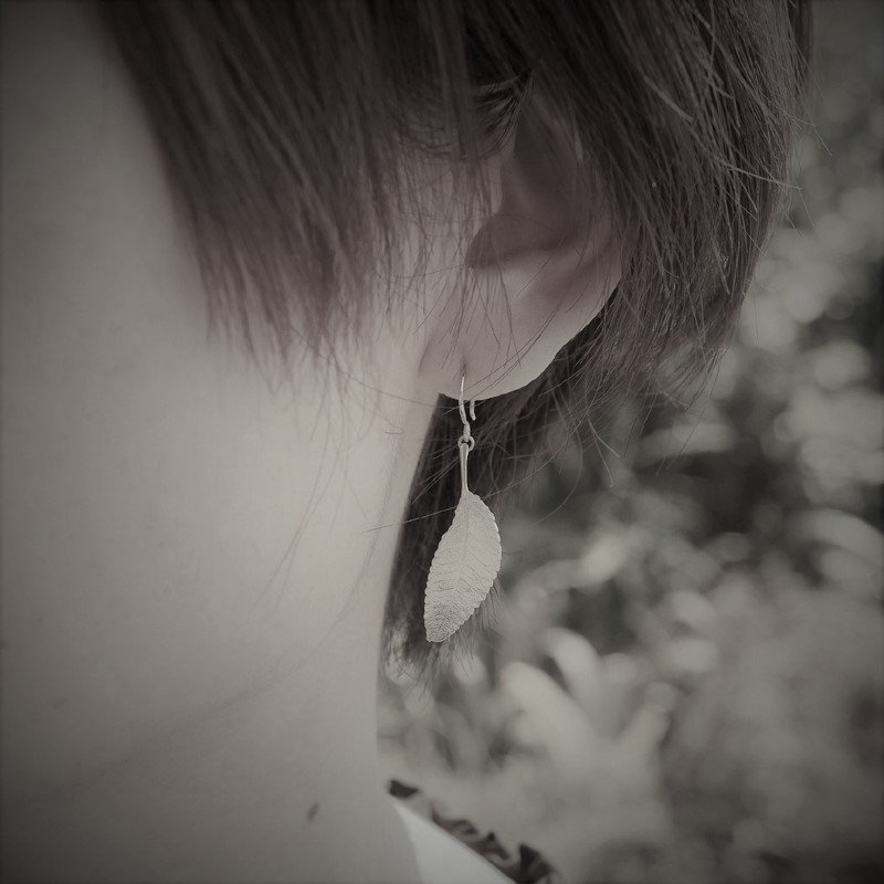Elm leaf earrings