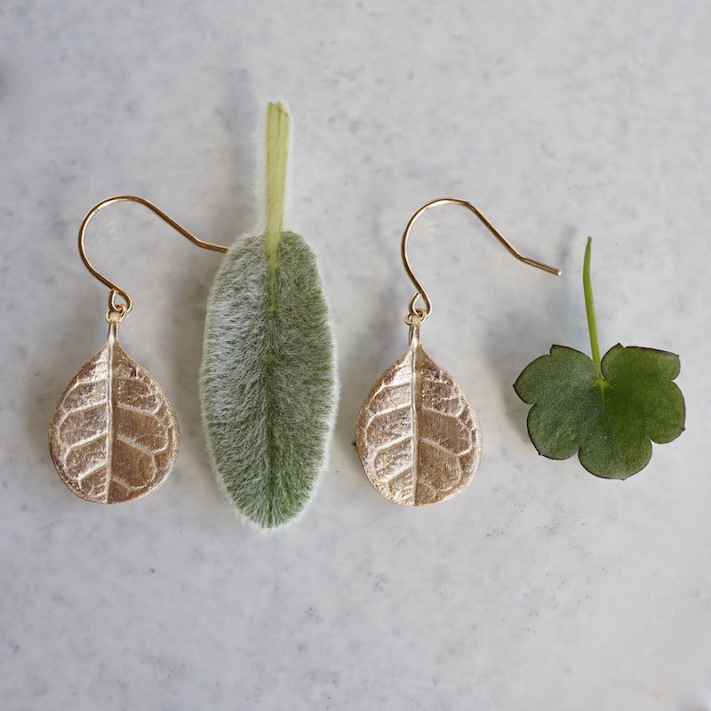 Feijoa small leaf earrings 