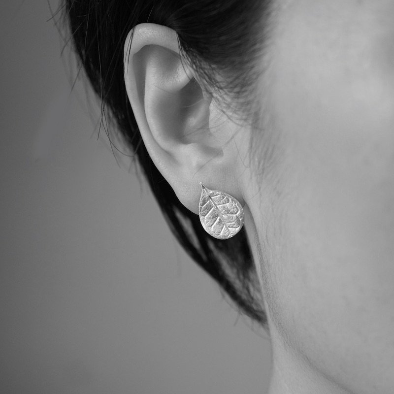 Feijoa small leaf stud earrings