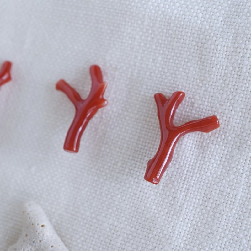 Coral branch gold earrings 