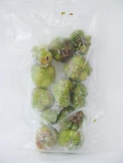 やま　マタタビの実　冷凍　9キロ マタタビの実（天然物）【冷凍】（どんぐり型）100g - 笹の葉