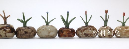 松村利恵さんの植物オブジェの画像
