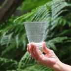 iittala/å顡ƥإߥץ顼/ڥ