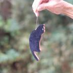 �׺ٹ��ޤĤ�������ǭ/����/�����ʥ���