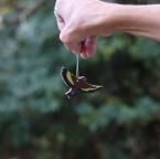 �׺ٹ��ޤĤ����������ҥ�/�����ʥ���