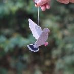 �׺ٹ��ޤĤ����������Х�/�����ʥ���