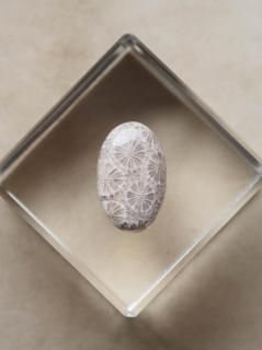 եå륳ʥɥͥˡ롼01