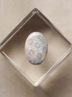 եå륳ʥɥͥˡ롼02