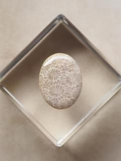 եå륳ʥɥͥˡ롼04