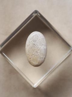 եå륳ʥɥͥˡ롼05