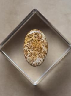 եå륳ʥɥͥˡ롼09