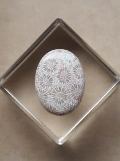 եå륳ʥɥͥˡ롼13