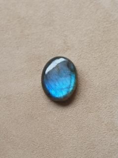 ֥ɥ饤ȡʥեꥫˡ롼03