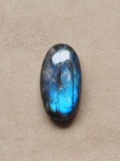 ֥ɥ饤ȡʥեꥫˡ롼14