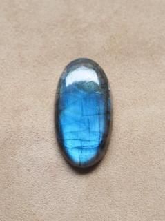 ֥ɥ饤ȡʥեꥫˡ롼15