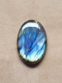 ֥ɥ饤ȡʥեꥫˡ롼16