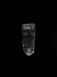 ꤢ徽Сʥɡҥޡץǡ彣ˡ롼7