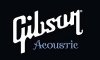 ֥ ƥå</br>Gibson Acoustic