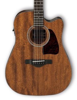 Ibanez ARTWOOD AW54CE - Acoustic-Electric Open Pore Natural 