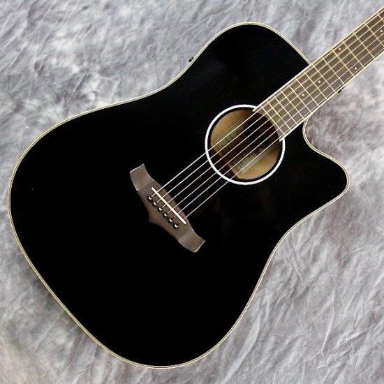 Tanglewood TW28-SLBK-CE Dreadnought w/ Cutaway & Gig Bag ギター ...