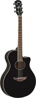 Yamaha APX600BL Thin Body Acoustic-Electric Guitar Black 