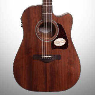 Ibanez AW54CE Artwood Acoustic-Electric Guitar, Open Pore Natural 