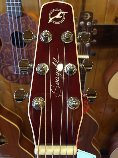 高評価の贈り物 Seagull シーガル Entourage CW GT QI Acoustic