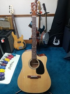 NEW Blueridge Contemporary Series BR-40CE Dreadnought with Fishman Electronics 
