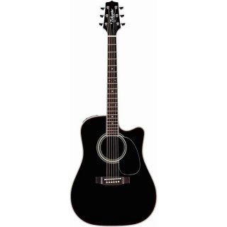 BNF様専用！※Takamine/タカミネ EF-34SC ハードケース付