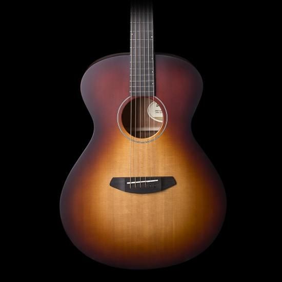 Breedlove acoustic guitar case new arrivals