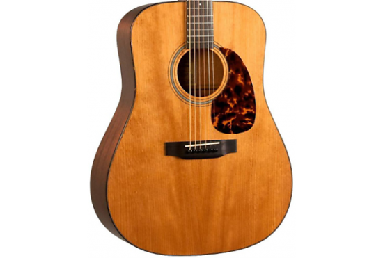 RD-T16 Recording King Torrefied Adirondack Spruce Top, Dreadnought ギター -  輸入ギターなら国内最大級Guitars Walker（ギターズ　ウォーカー）
