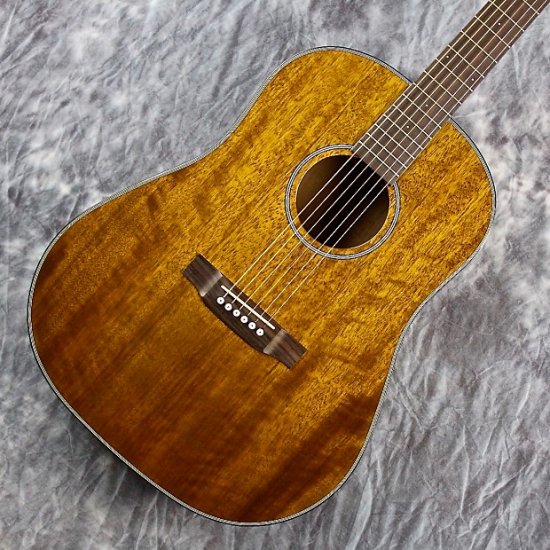 Tanglewood TW40-SD-D Sloped Shoulder Dreadnought w/ Solid Top ...