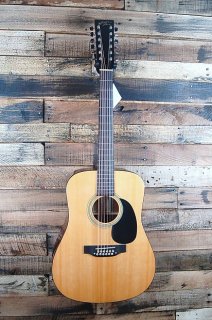 Recording King RD-06-12 Classic Series Acoustic Guitar - 2017 Model - NEW 
