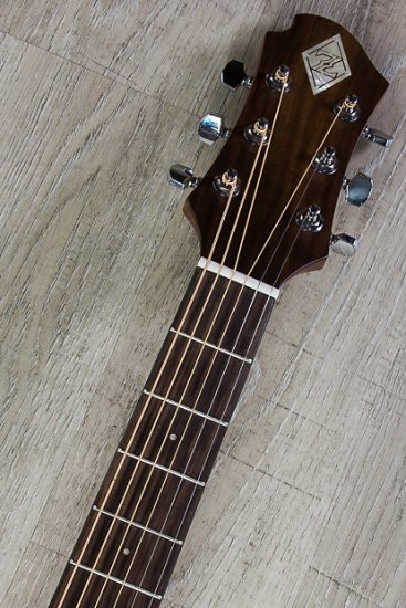 Zemaitis CAD-100HW-E Dreadnought Acoustic-Electric Guitar RW Board + Gig  Bag ギター - 輸入ギターなら国内最大級Guitars Walker（ギターズ　ウォーカー）