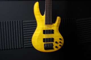 LTD 5 String Bass 255DX 