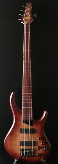 MTD Kingston Andrew Gouche Signature 6-String Electric Bass