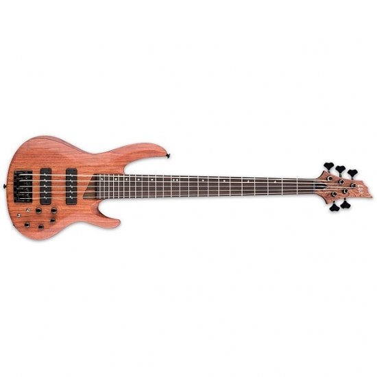 ESP LTD B-1005SE Bubinga Natural Satin NS 5-String Electric Bass Guitar +  Free Gig Bag B-1005 SE ギター - 輸入ギターなら国内最大級Guitars Walker（ギターズ　ウォーカー）