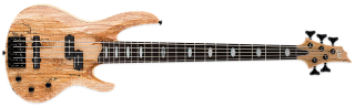 ESP LTD RB-1005 SM NaturalURAL SATIN Bass Guitar (LRB1005SMNS) 
