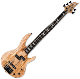 ESP LTD RB-1005SM 5 String Electric Bass Natural Satin 
