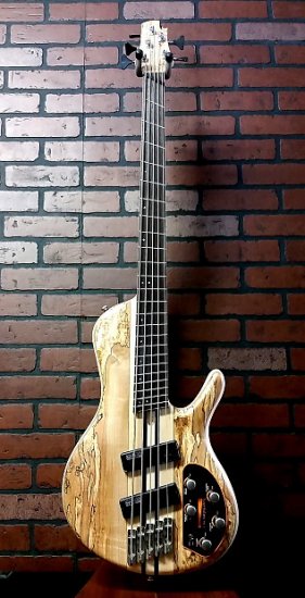 CORT A5 Plus SCFF 5 string bass ギター - 輸入ギターなら国内最大級